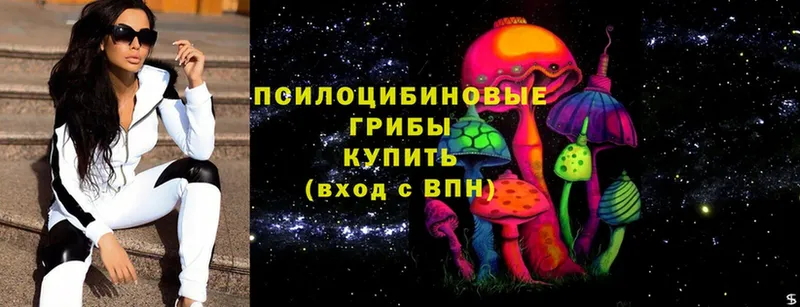 хочу   Иланский  Псилоцибиновые грибы Magic Shrooms 