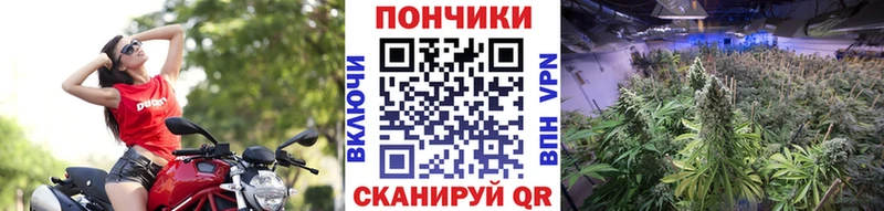 МАРИХУАНА Bruce Banner  наркошоп  Иланский 